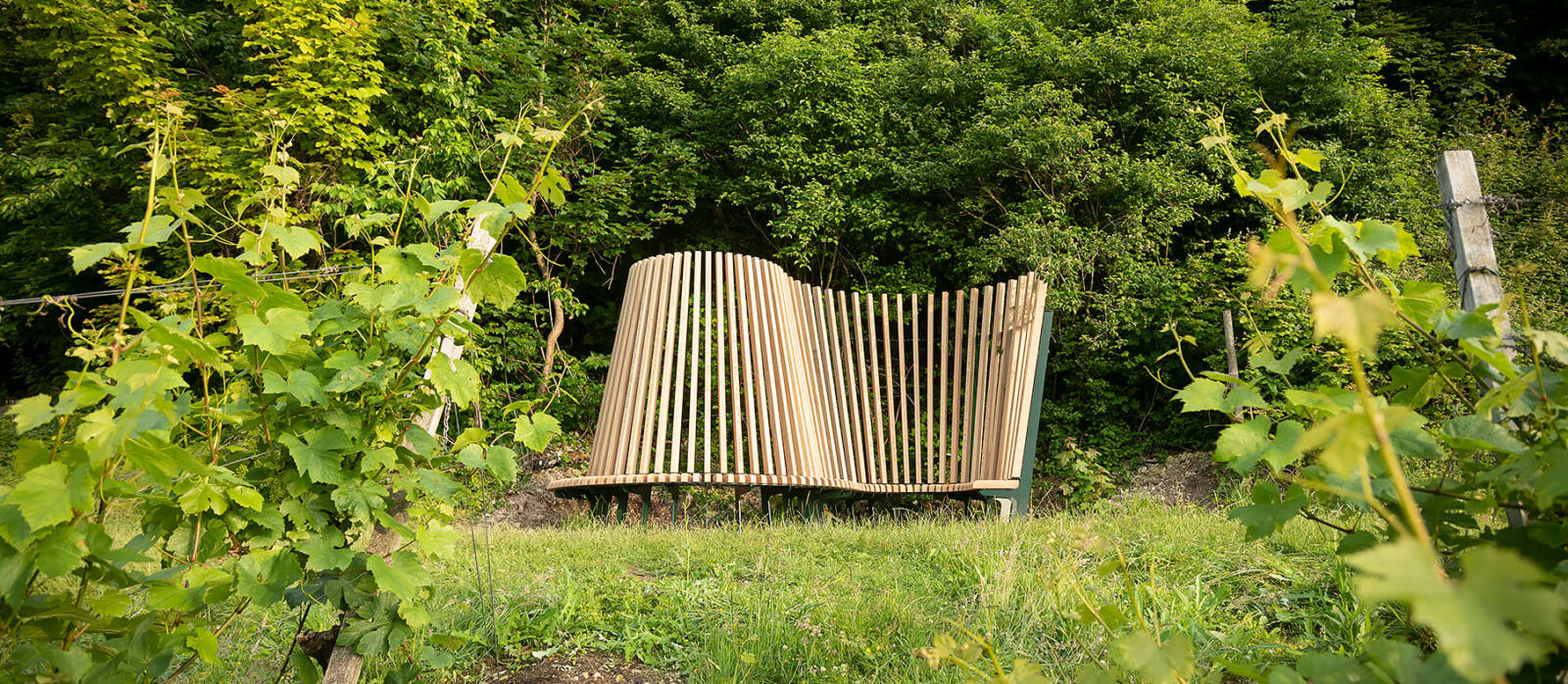 Radius by James Tunnard through the vines