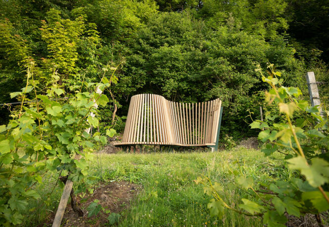 Radius by James Tunnard through the vines